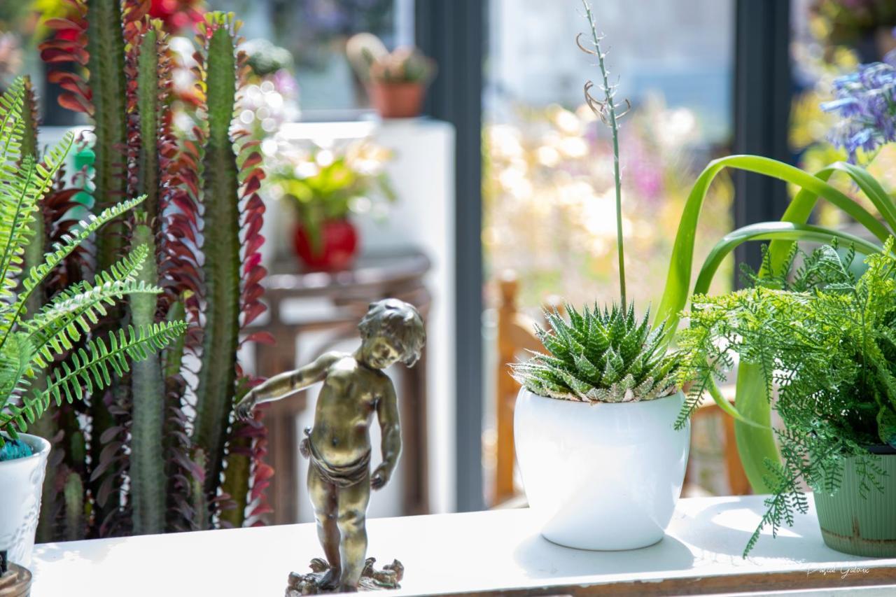 Villa Marguerite 65 Rue Legout Lesage 76260 Ponts Et Marais Εξωτερικό φωτογραφία